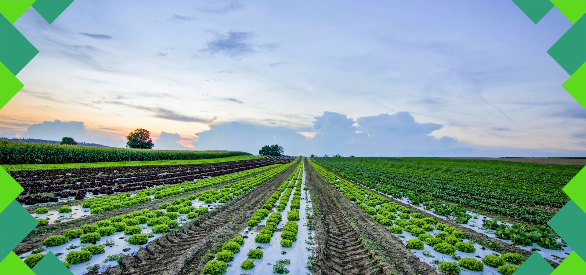 FORMULACIÓN DEL PLAN INTEGRAL PARA CONTROL DE INUNDACIONES, MOVIMIENTOS DE MASA Y DEFENSAS RIBEREÑAS DE LA CUENCA DEL RÍO ZAÑA